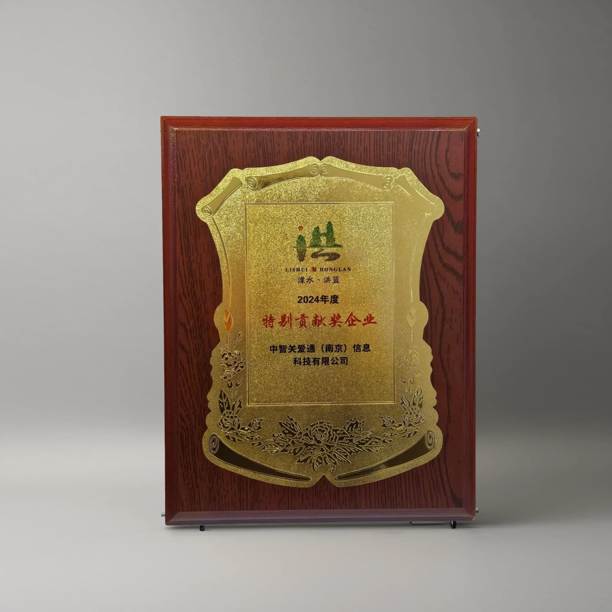 2024年度特别贡献奖企业-南京溧水